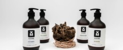 a group of three bottles of soap and a soap dish