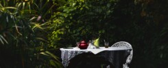 red ceramic teacup on white table cloth